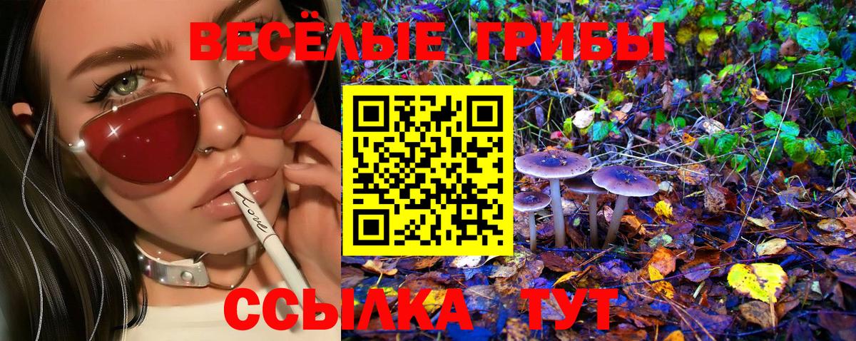 Галлюциногенные грибы мухоморы  Вход с VPN  Галлюциногенные грибы Psilocybe  Подольск 